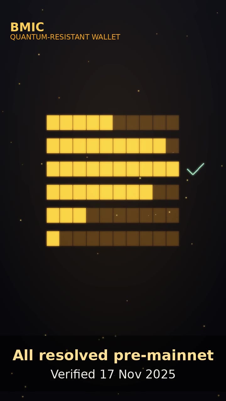 Audit Walkthrough — BMIC Quantum-Resistant Wallet